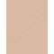 Wet n Wild Photo Focus, maskuoklis moterims, 8,5ml, (E840B Light Ivory)