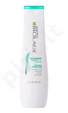 Matrix Biolage Scalp Sync, Anti Dandruff, šampūnas moterims, 250ml
