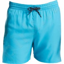 Šortai plaukimui Nike Solid M NESS9502-430