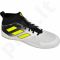 Futbolo bateliai Adidas  ACE Tango 17.3 IN M CG3707