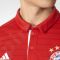 Marškinėliai futbolui Adidas  FC Bayern Munchen Home Replica 2016/17 M AI0049