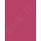 Revlon Colorstay, Overtime, lūpdažis moterims, 4ml, (490 For Keeps Pink)