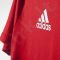 Marškinėliai Adidas FC Bayern Monachium ANTH Tee M AC6729