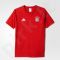 Marškinėliai Adidas FC Bayern Monachium ANTH Tee M AC6729
