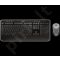 Bevielė klaviatūra Logitech + Pelė Combo MK520, US