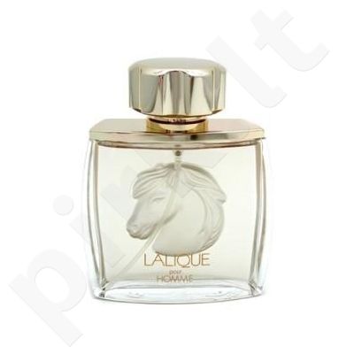 Lalique Pour Homme Equus, kvapusis vanduo vyrams, 75ml