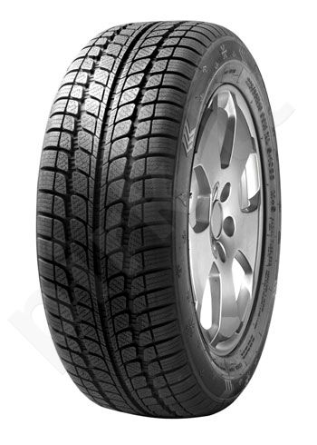 Žieminės Fortuna WINTER R16