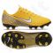 Futbolo bateliai  Nike Mercurial Vapor 12 Academy Neymar MG Jr AO2896-710