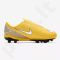 Futbolo bateliai  Nike Mercurial Vapor 12 (V) PS Neymar FG/MG Jr AO2897-710