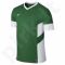 Marškinėliai futbolui Nike ACADEMY 14 Junior 588390-302