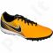 Futbolo bateliai  Nike MagistaX Onda II TF M 844417-801
