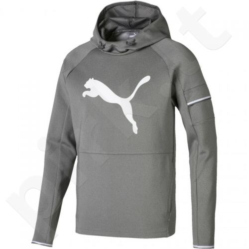 Bliuzonas Puma Tec Sports Cat Hoody M 854168 03