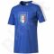 Marškinėliai Puma FIGC Italia Fanwear Badge Tee Junior 74910301