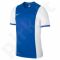 Marškinėliai futbolui Nike Park Derby Jersey 588413-463