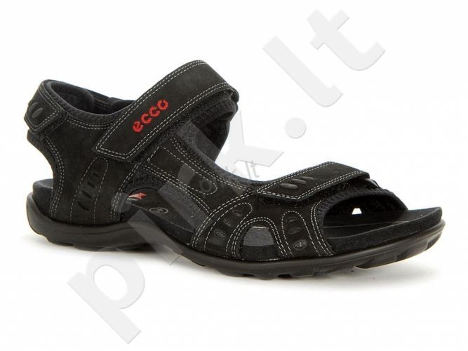 Ecco basutes clearance
