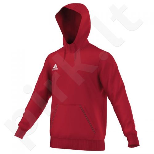 Bliuzonas  Adidas Core 15 Junior AA2722