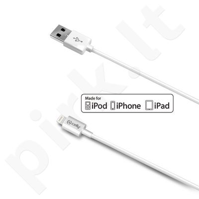 Apple iPhone 5 laidas 2m Celly baltas