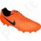Futbolo bateliai  Nike Magista Onda II FG M 844411-808