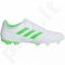 Futbolo bateliai Adidas  Copa 19.3 FG M BB9188