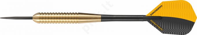 DartsSteeltip CLUB BRASS 5581 3x21gR