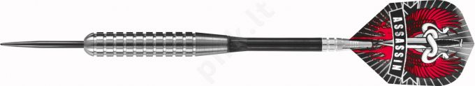 DartsSteeltip ASSASSIN HEAVY 4782 3x30gR W80