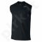 Marškinėliai treniruotėms Nike Legend 2.0 Sleeveless T-Shirt M 718835-010