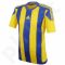 Marškinėliai futbolui Adidas Striped 15 M S16142