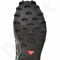 Sportiniai bateliai  bėgimui  Salomon Speedcross 4 GTX M L38318100