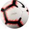 Futbolo kamuolys Nike Pitch SC3316-100