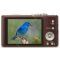 Fotoaparatas Panasonic DMC-TZ20EP-T