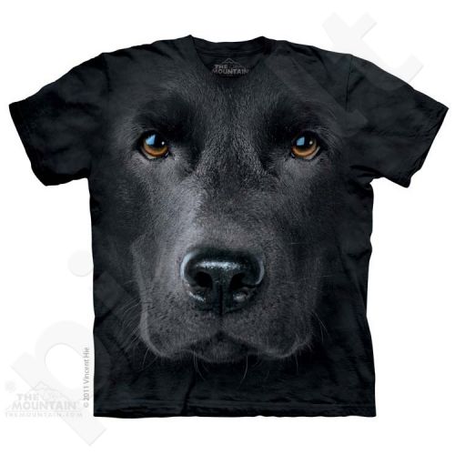 varpos labradoras)