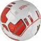 Futbolo kamuolys Puma evoPower Lite 350g 08222601
