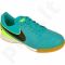 Futbolo bateliai  Nike Tiempo Legend VI IC Jr 819190-307