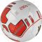 Futbolo kamuolys Puma evoPower Lite 290g 08222501