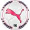Futbolo kamuolys Puma evoPOWER 1 Futsal FIFA 08223415