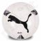Futbolo kamuolys Puma Elite 2 FIFA juoda-biała