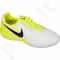 Futbolo bateliai  Nike MagistaX Opus II IC Jr 844422-109