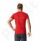 Marškinėliai adidas Tiro17 Tee M BQ2658