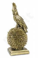 Dekoracinis Papūga