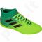Futbolo bateliai Adidas  ACE 17.3 IN Jr BB1012