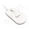 Gembird Phoenix touch mouse, USB, white