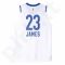 Marškinėliai krepšiniui Adidas Replica Lebron James All-Star M AC2643