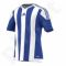 Marškinėliai futbolui Adidas Striped 15 M S16138