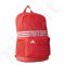 Kuprinė Adidas Sports Backpack Medium 3 Stripes AJ9403