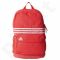 Kuprinė Adidas Sports Backpack Medium 3 Stripes AJ9403