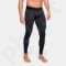 Sportinės kelnės Under Armour CG legging M 1320812-001