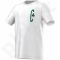 Marškinėliai Adidas Boston Celtics Y Fan Wear Tee Junior AA7798
