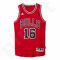 Marškinėliai krepšiniui Adidas Swingman Chicago Bulls Pau Gasol M A59526