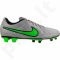 Futbolo batai  Nike Tiempo Rio II FG 631287-030