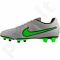 Futbolo batai  Nike Tiempo Rio II FG 631287-030